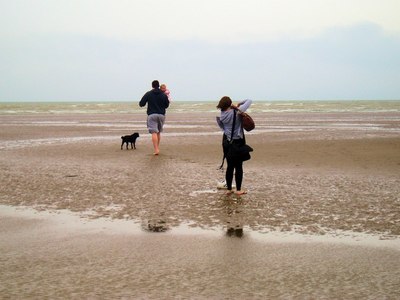 Marsh View Cottage is a dog friendly cottage close to the dog friendly beach of Camber Sands, Rye, East Sussex