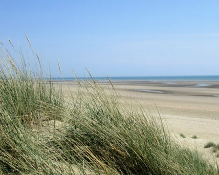 The only sand dunes in East Sussex are in Camber Sands, just outside the medieval town of Rye. Our holiday cottage, Marsh View Cottage is a short walk from these dunes and vast sandy beach