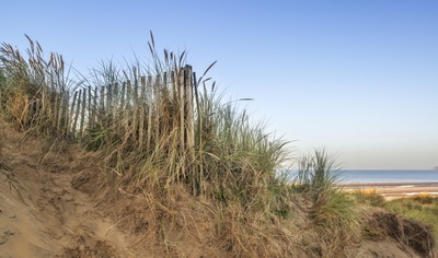 The magnificent sand dunes are a few minutes walk from our Sussex holiday cottage and are the only dunes in East Sussex. Marsh View Cottage is dog friendly and the beach is also dog friendly in Camber Sands, Rye, East Sussex